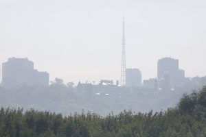 Роспотребнадзор не выявил загрязнений воздуха из-за лесных пожаров в Нижегородской области