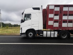 Более 14,5&nbsp;км дороги Работки-Порецкое отремонтировали по&nbsp;нацпроекту в&nbsp;Большемурашкинском районе