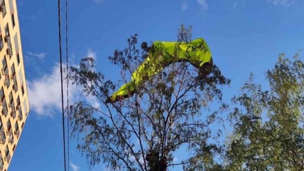 В Нижнем Новгороде спасатели спустили с дерева двух застрявших парапланеристов