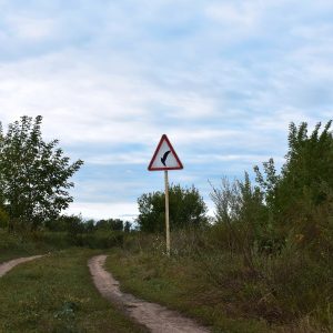 Новые арт-объекты в виде дорожных знаков с птицами появились в Артемовских лугах