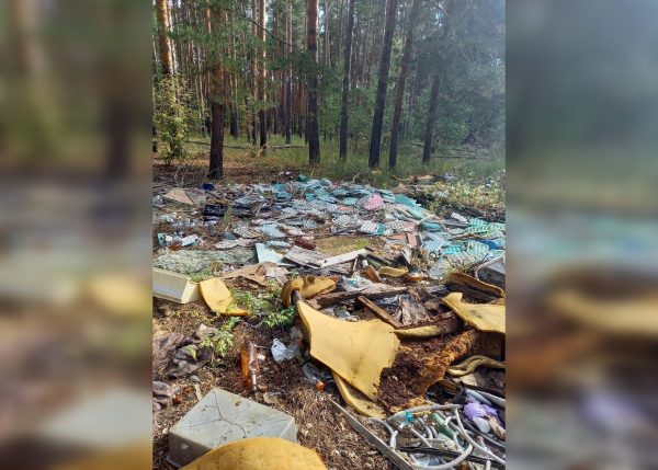 Свалку яичных упаковок обнаружили на окраине Нижнего Новгорода