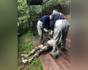 Мужчина утонул в озере на базе отдыха в Володарском районе