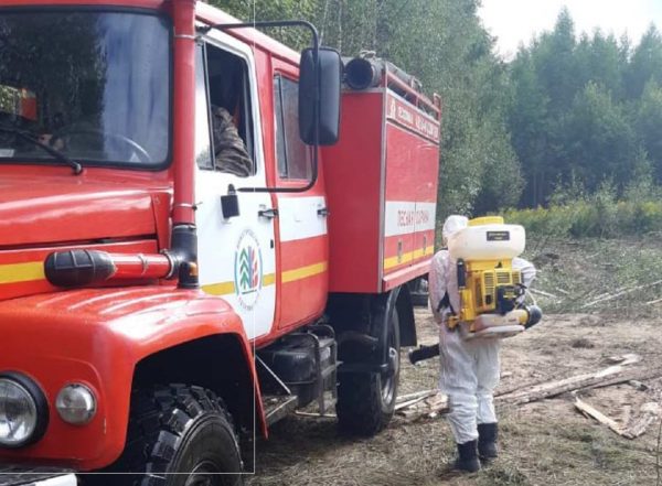 Очаги АЧС ликвидированы в Пильнинском и Семеновском округах Нижегородской области