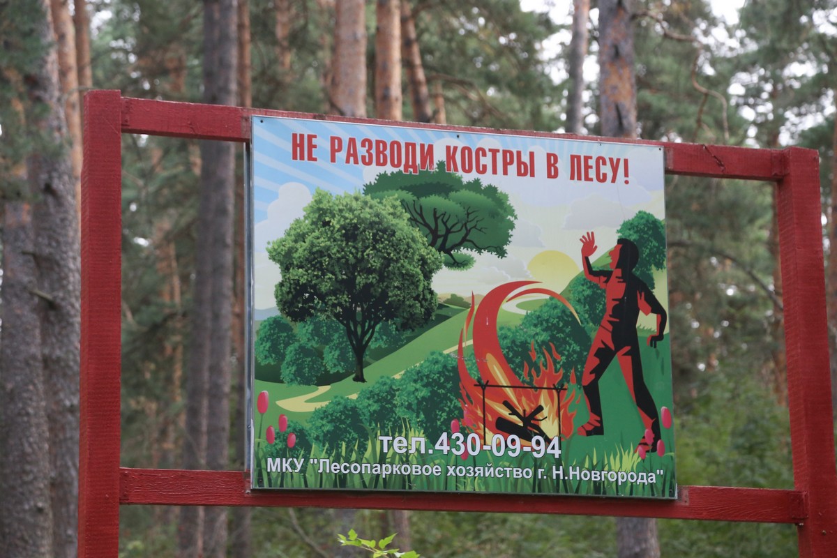 Патрулирование лесов в усиленном режиме продолжается в Нижнем Новгороде