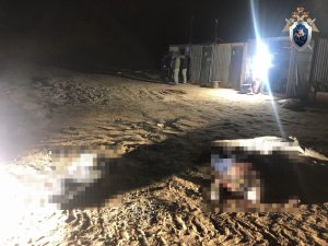 Бульдозер переехал трех мужчин в Бутурлинском районе