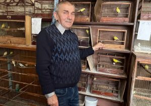 Урок пения для канареек: житель Павлова играет птицам на дудочке