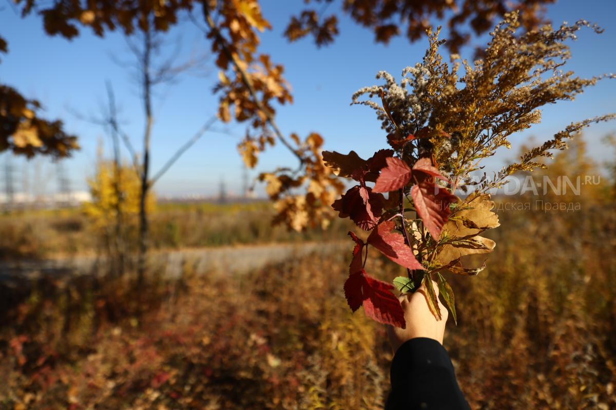 От праздника урожая до усадеб: куда съездить и что посмотреть в октябре в Нижегородской области