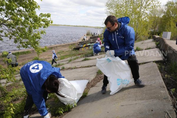 Большая акция по уборке берега Волги от мусора пройдет на Гребном канале 10 сентября