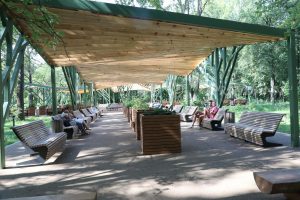 Новый парк «Швейцария»: качели на откосе, дендрарий с белками и лучший вид на…&nbsp;Луну