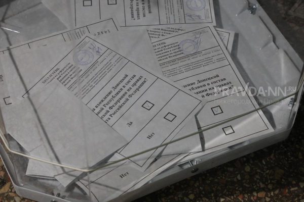 «Люди шли и шли»: как в Петербурге провели последний день донбасского референдума
