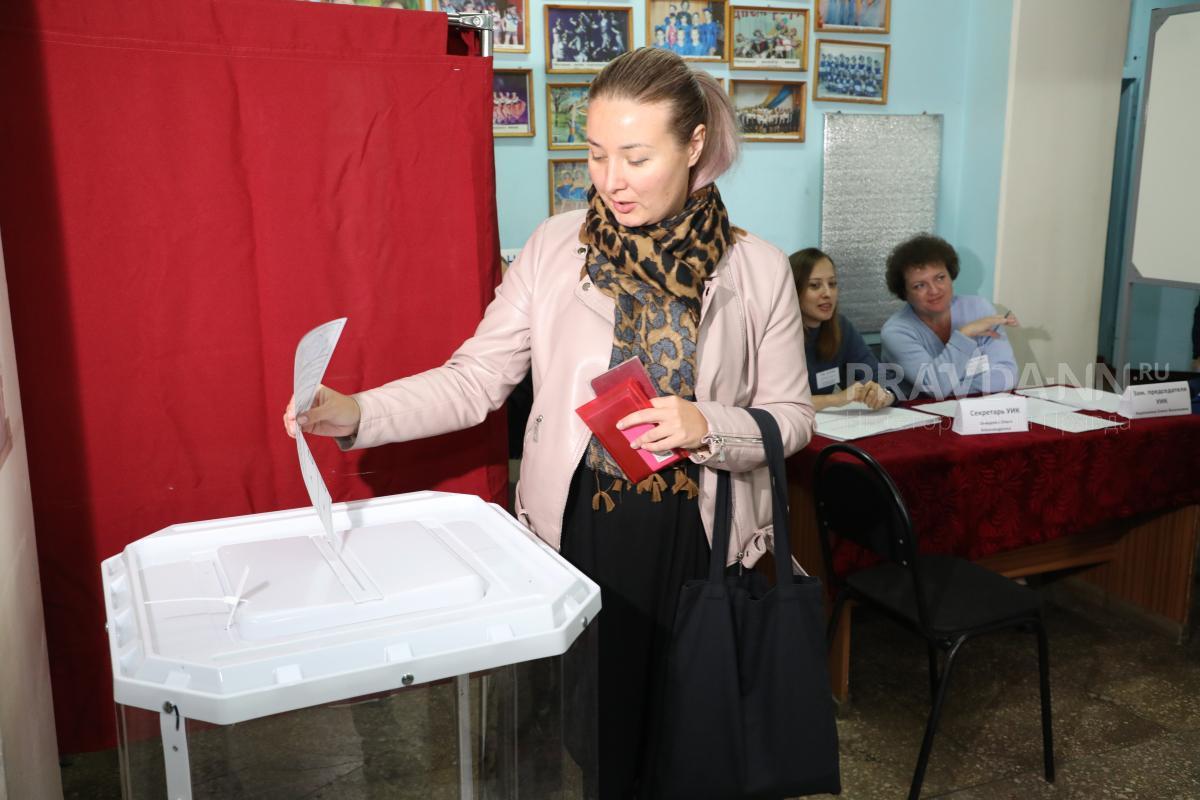 Референдум в Нижнем Новгороде о вхождении ДНР и ЛНР в состав России