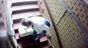 Нижегородка, которая подбросила к дверям песокотокафе котенка, заплатит 200 тысяч рублей