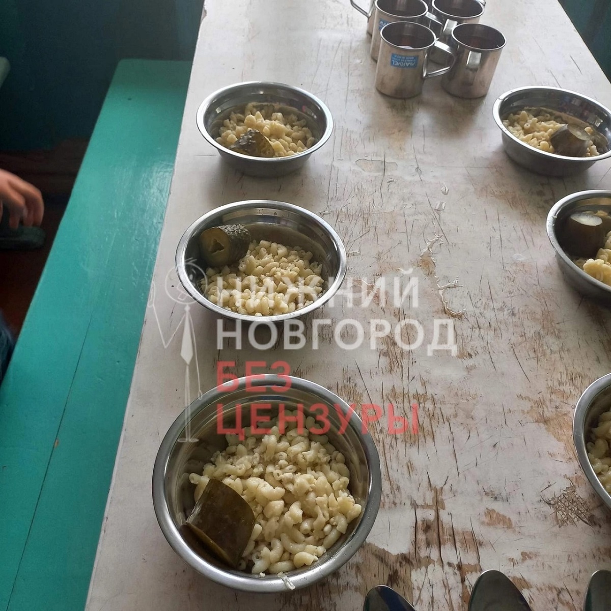 Жители Шахуньи пожаловались на качество обедов в одном из интернатов