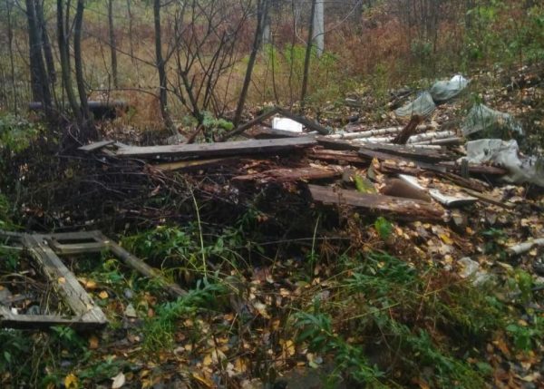 Виновных в организации свалки в деревне Рекшино Борского округа найдут, заявили в Минлесхозе