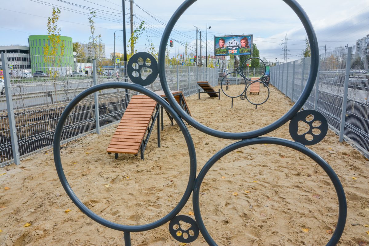 Площадка для выгула собак появилась в сквере в микрорайоне Бурнаковский