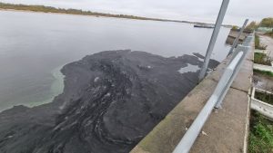 Концентрация нефтепродуктов в Волге, где судно село на мель, превысила норму в 26&nbsp;раз