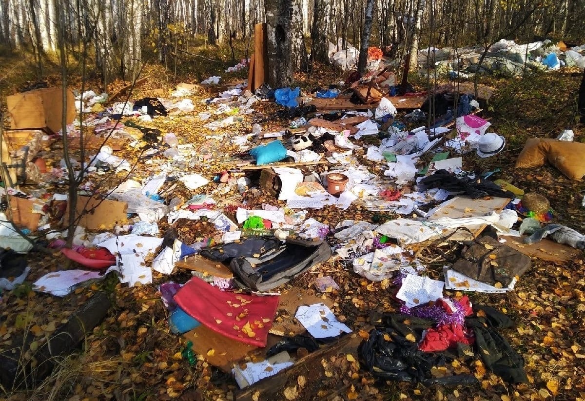 Очередную свалку мусора обнаружили в Нижнем Новгороде