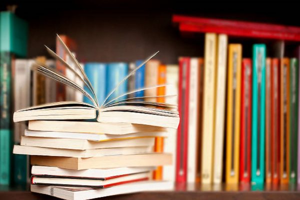 Названы самые популярные книги, которые читали нижегородцы в этом году