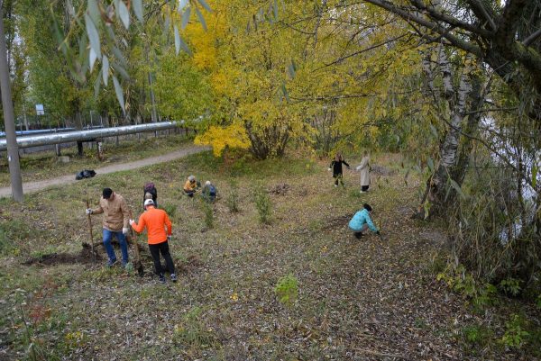 Берега речки Левинки привели в порядок