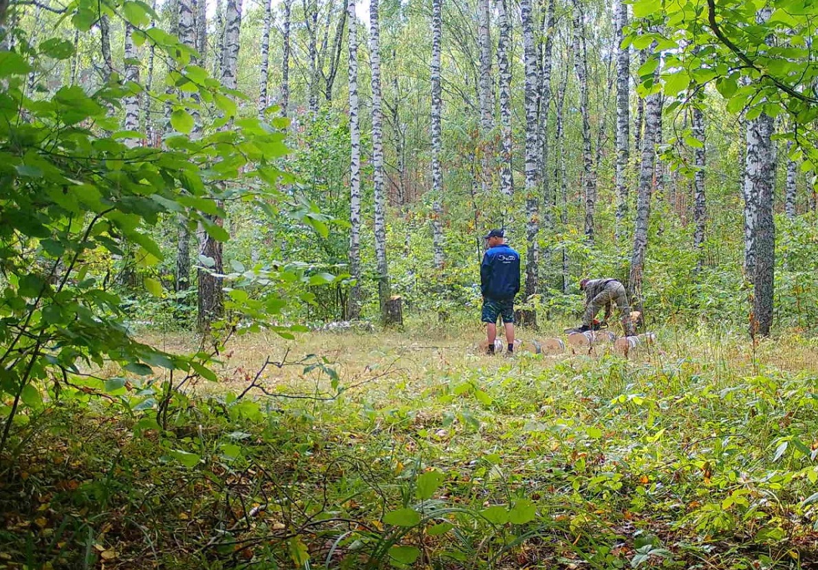 Прибор «Лесник» помог оперативно обнаружить незаконную рубку и хищение древесины в двух районах Нижегородской области