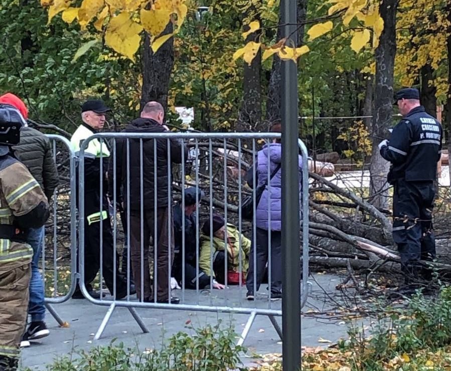 Женщину придавило упавшим деревом в парке «Швейцария» в Нижнем Новгороде