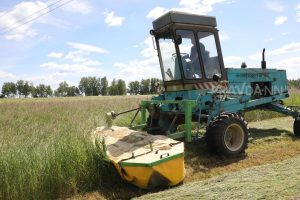 Производство сельхозпродукции увеличилось на 12,5% в&nbsp;Нижегородской области в 2022&nbsp;году