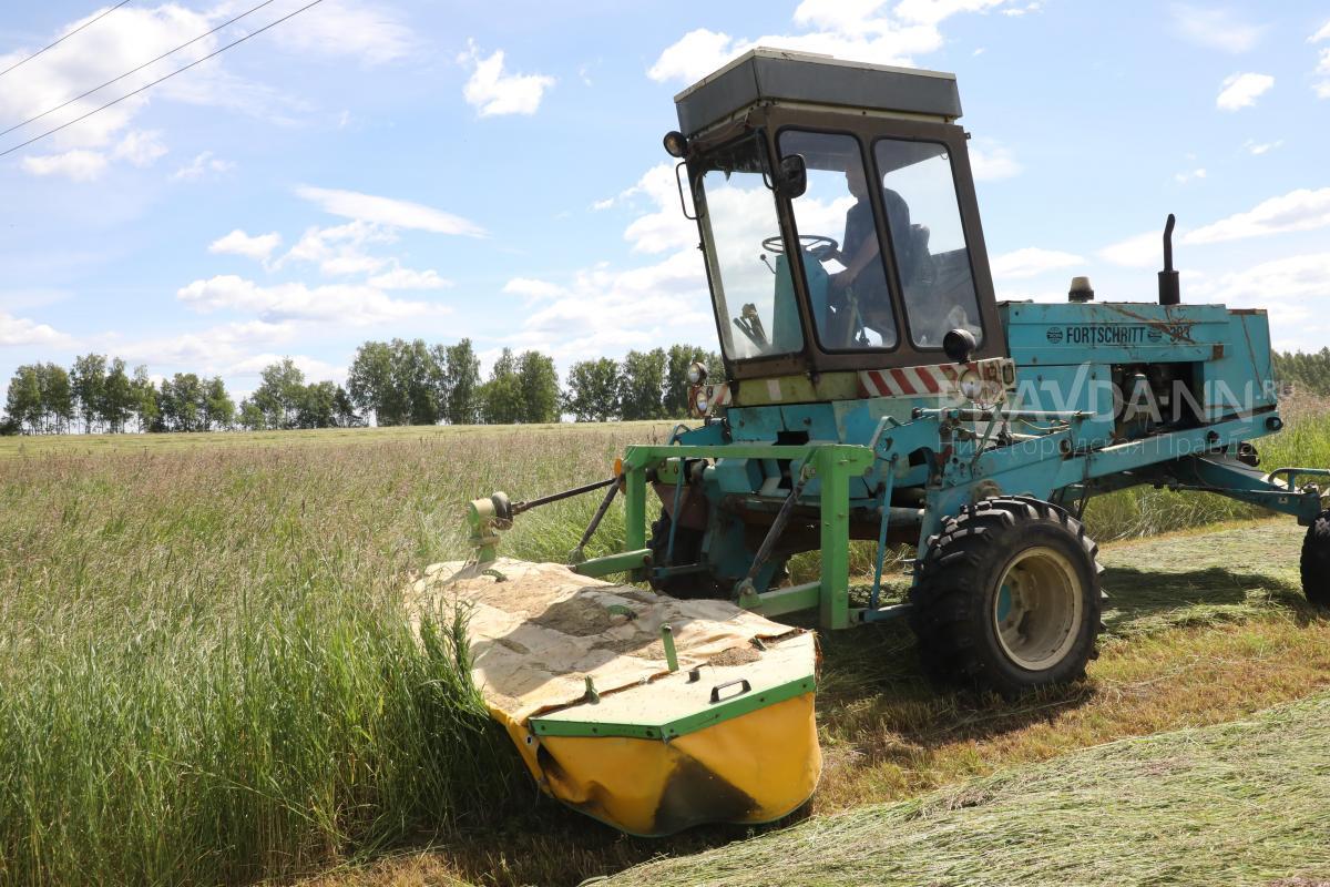 Производство сельхозпродукции увеличилось на 12,5% в Нижегородской области в 2022 году