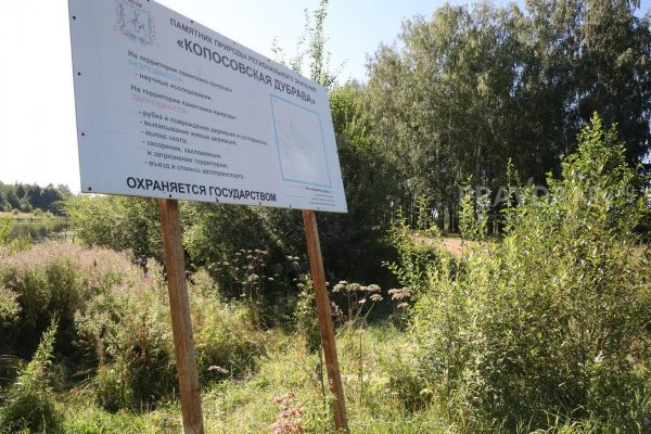 Памятник природы «Копосовская дубрава» в Сормове заваливают мусором