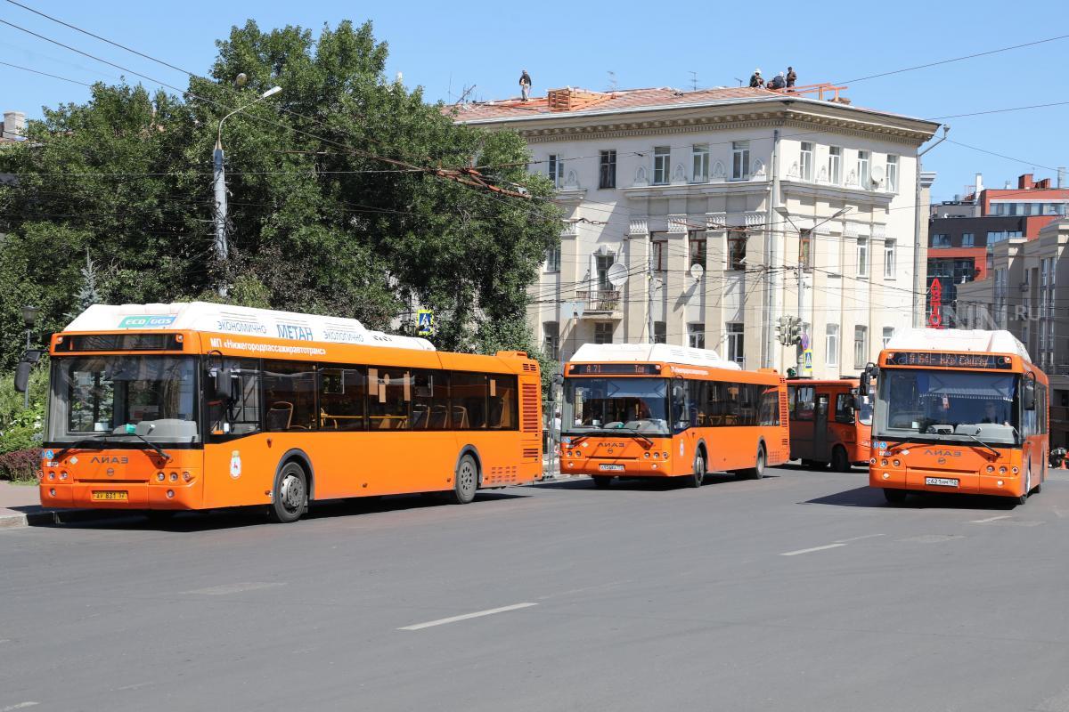 Нижегородские частные перевозчики увеличили выпуск автобусов на маршруты до 62%