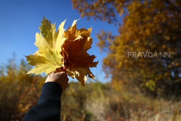 До +11 градусов потеплеет в Нижнем Новгороде в эти выходные