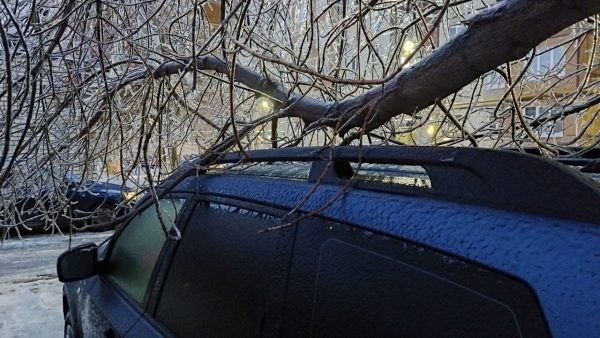 Нижегородцы продолжают делиться фотографиями последствий ледяного дождя в соцсетях