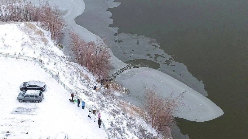 Дворник спас провалившуюся под лед собаку в ЖК «Бурнаковский»