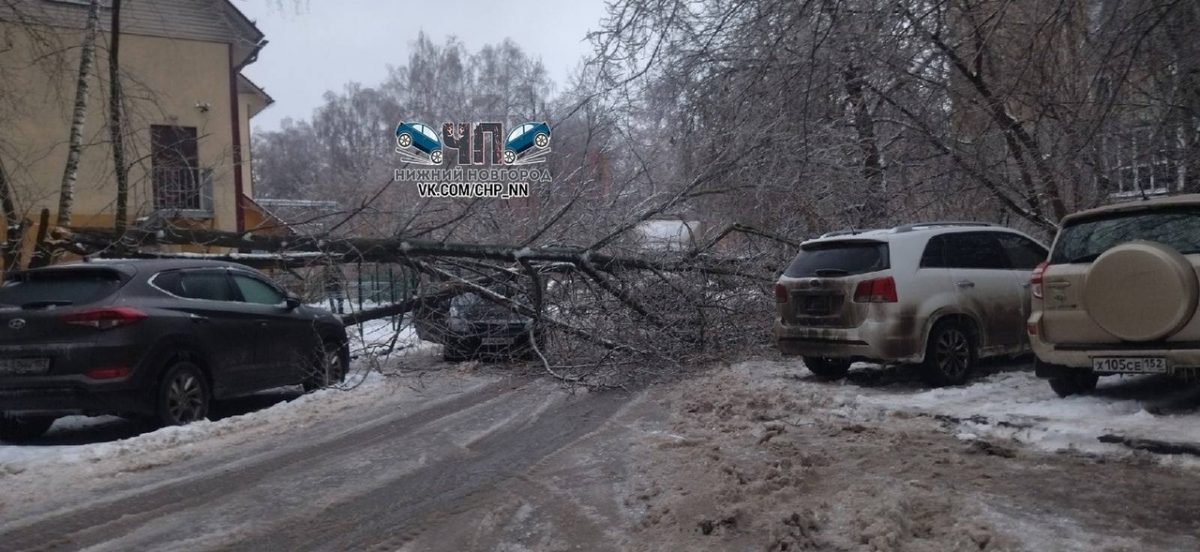 Обледеневшее дерево упало и заблокировало местный проезд проспекта Ленина