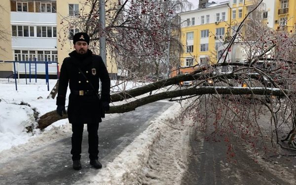 Городовые помогли убрать упавшее дерево на улице Суетинской