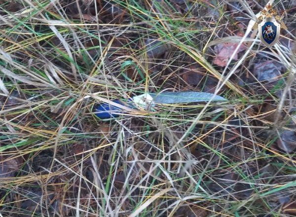 Иностранец пытался зарезать курьера в Дзержинске