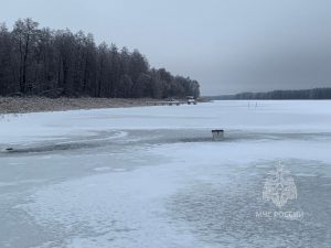 Провалившегося под лед рыбака спасли в Борском районе