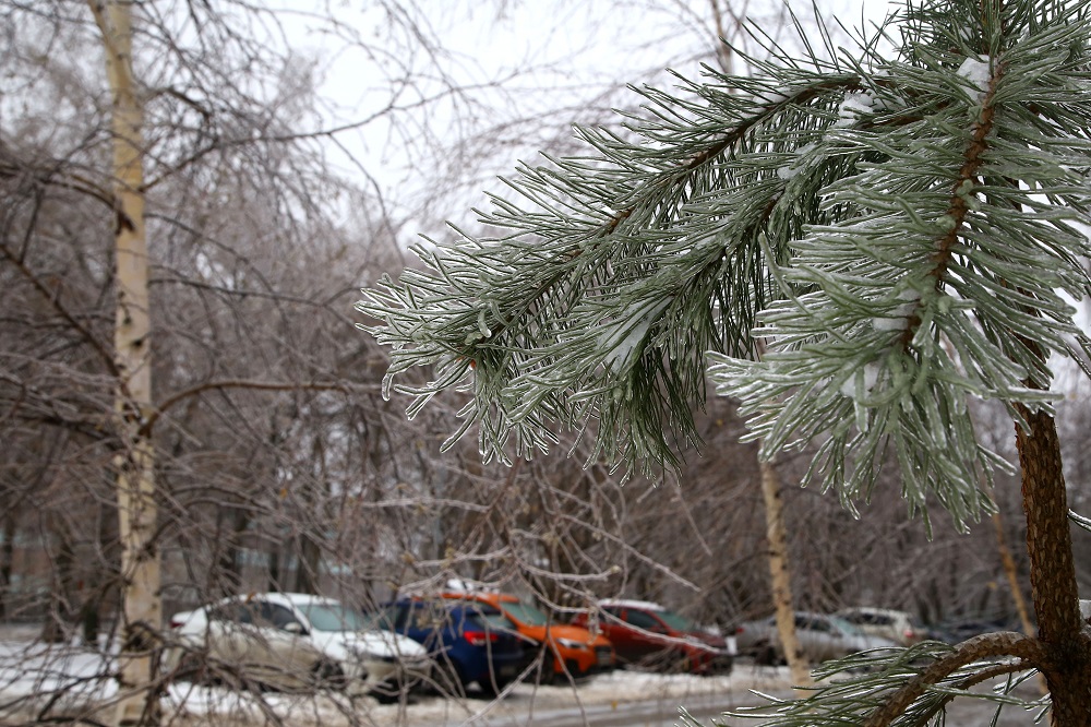Заморозки до ‑14 градусов придут в Нижегородскую область на этой неделе