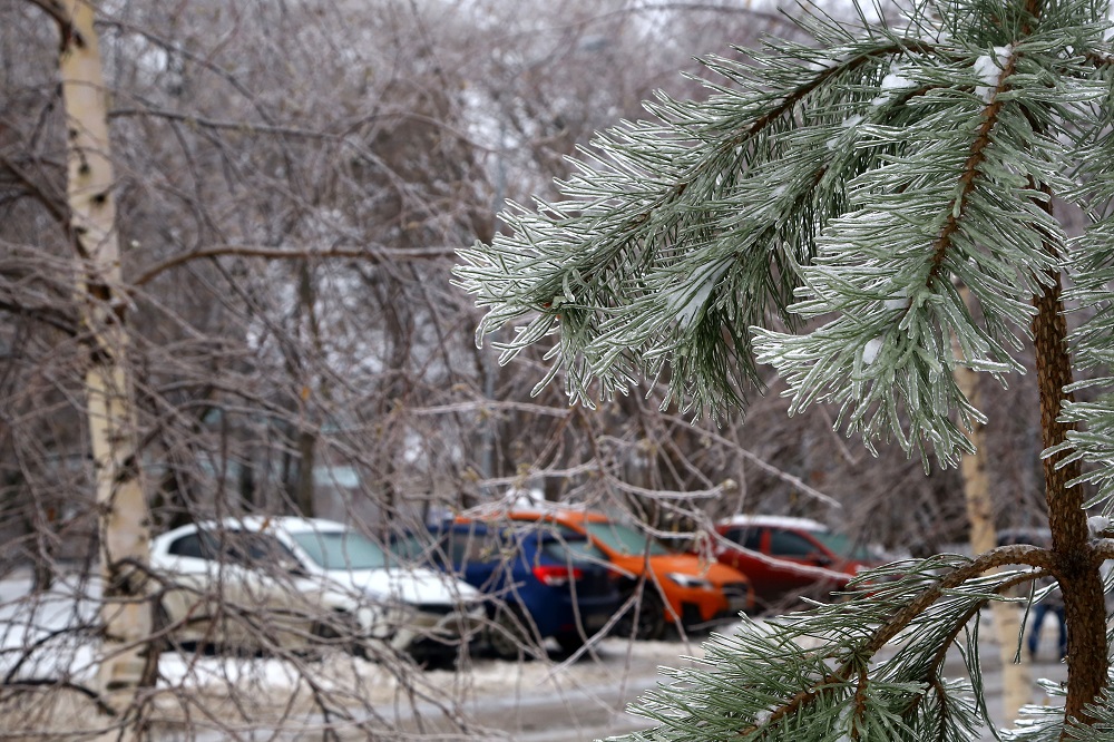 Мороз со снегом придет на все выходные в Нижний Новгород