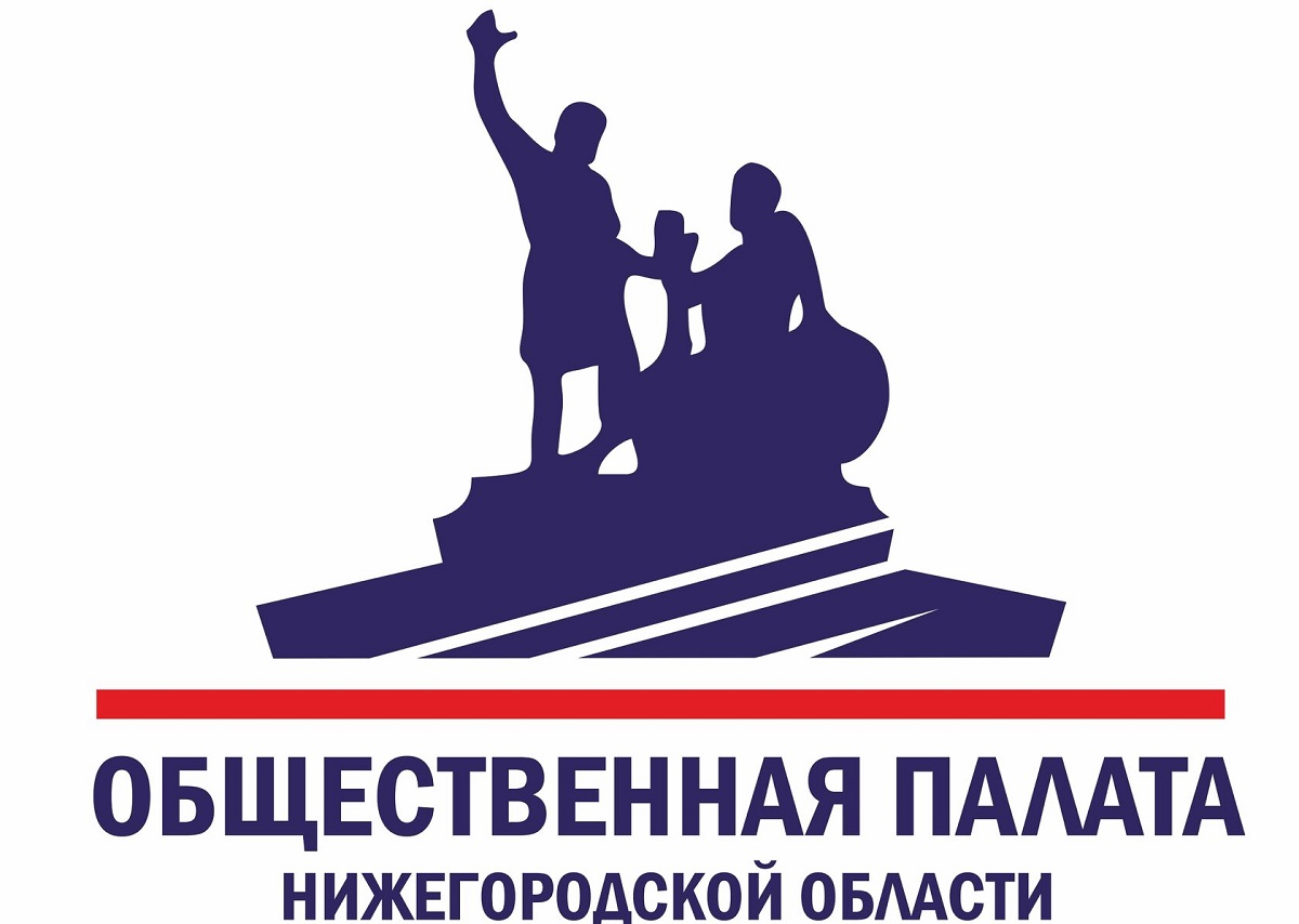 Объявлены довыборы в Общественную палату Нижегородской области