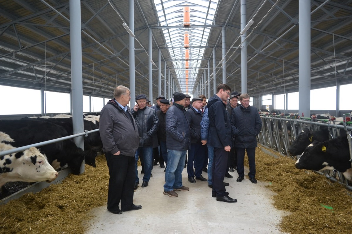 Каждый четвёртый рубль инвестиций идет в сельское хозяйство: что нового у нижегородских аграриев