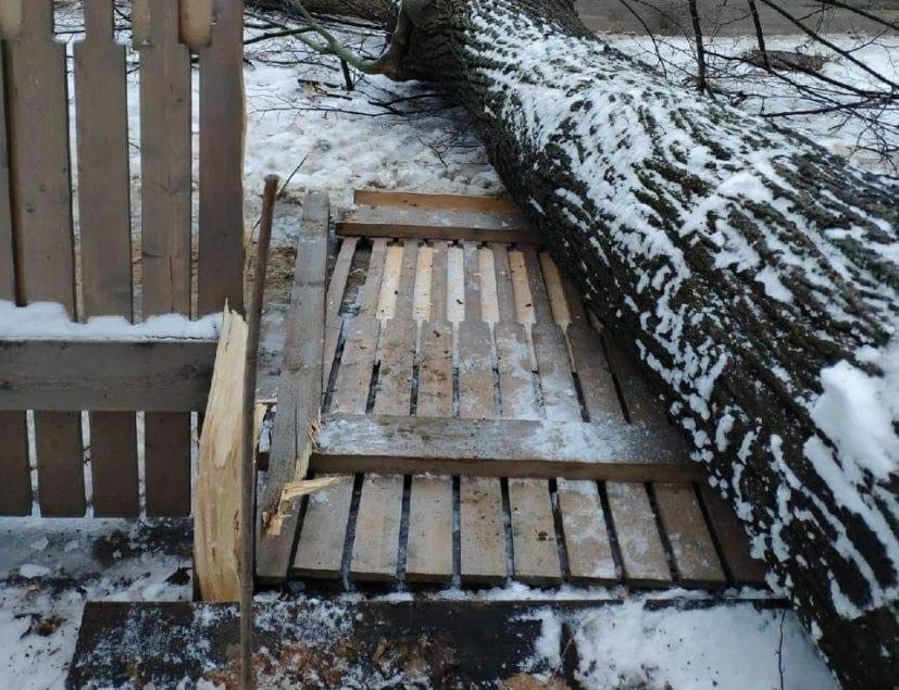 Упавшее дерево повредило забор со скетчами нижегородской художницы в Заповедных кварталах
