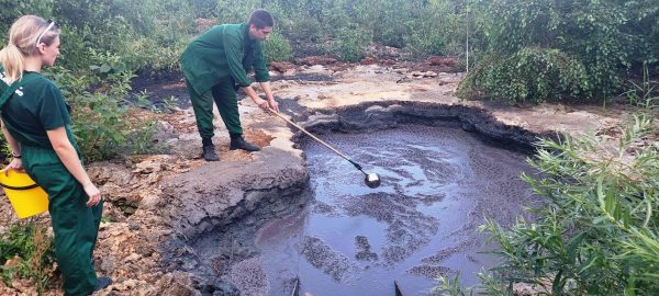 С коммунального предприятия взыскали более 2,2 млн рублей за выбросы в атмосферу в Балахне