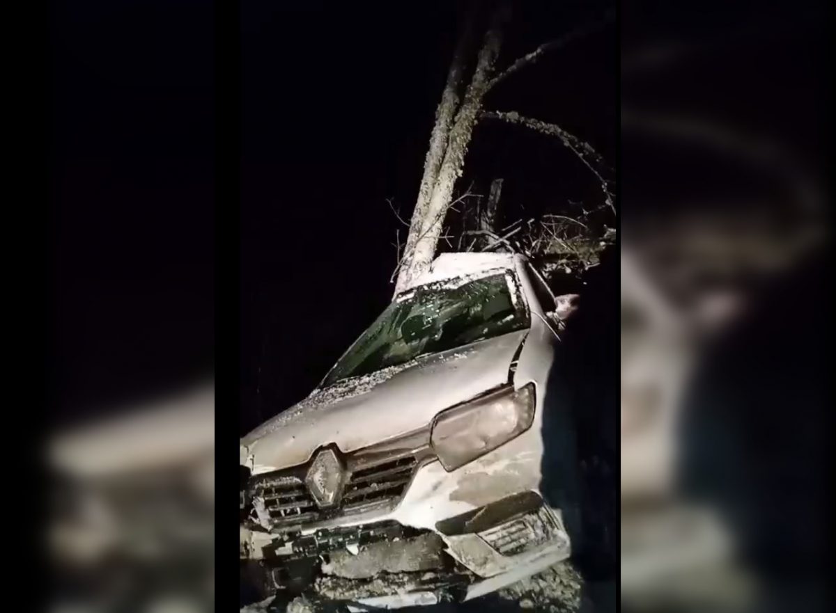 Водитель пострадал при столкновении с деревом в Дальнеконстантиновском районе