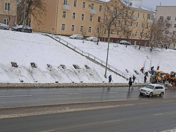 Шалабаев прокомментировал ситуацию с посадкой деревьев на Похвалинском съезде