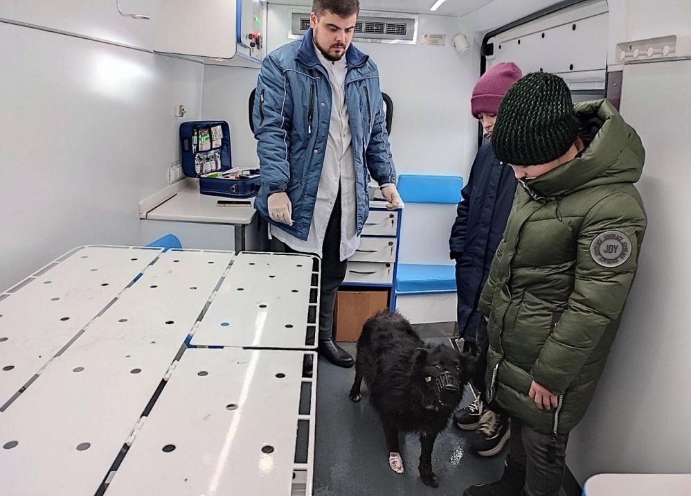 «Поезд здоровья» для домашних животных заработал в Нижегородской области