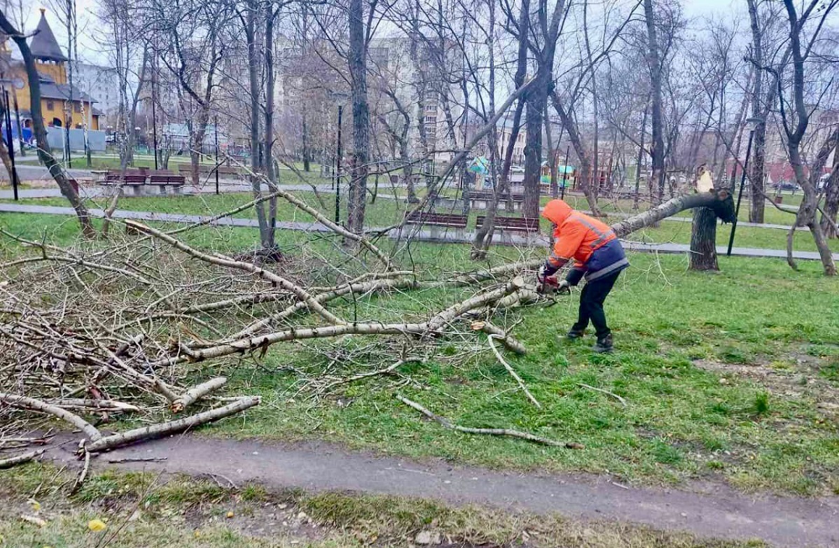 Почти 100 деревьев, поваленных шквалистым ветром, убрали в Нижнем Новгороде