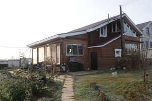 Нижегородские зооволонтёры спасают брошенных на дачных участках животных