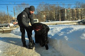 564 нижегородца травмировались на скользких дорогах за неделю
