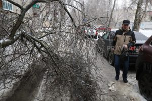 В 14 районах Нижегородской области ввели режим ЧС из-за последствий стихии