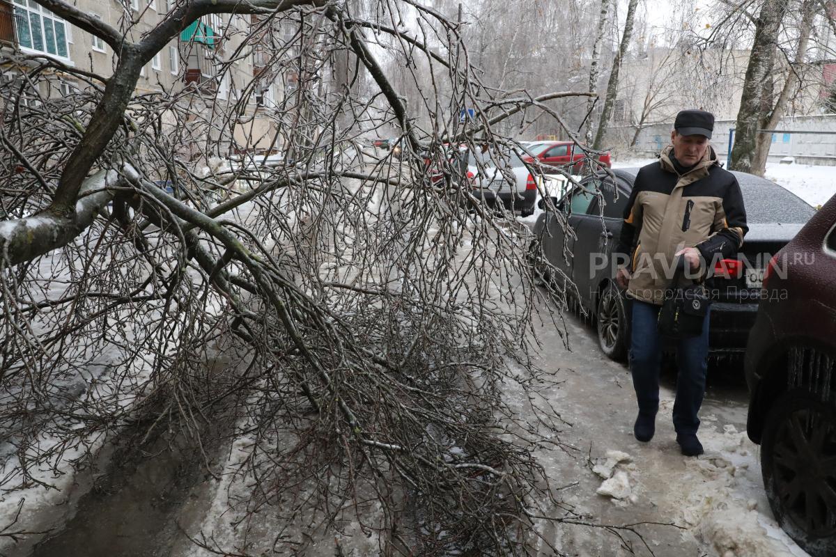 Лёд на проводах, деревьях и дорогах: как Нижний Новгород справляется с природным катаклизмом